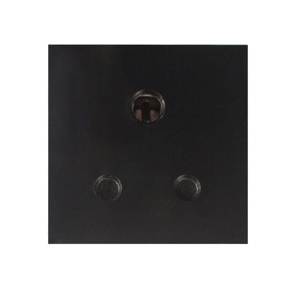 Buster and Punch ELECTRICITY PLATE INSEBuster and Punch RTS - 5A UK Socket (2module) BLACK