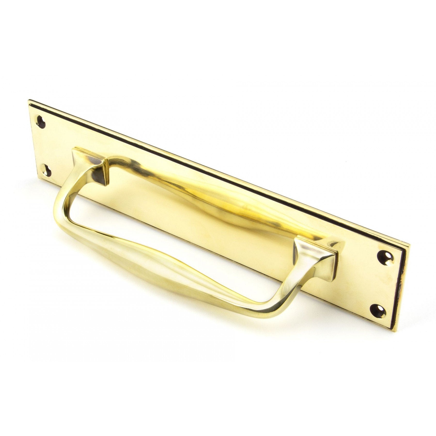 From the Anvil Aged Brass 300mm Art Deco Pull Handle on Backplate