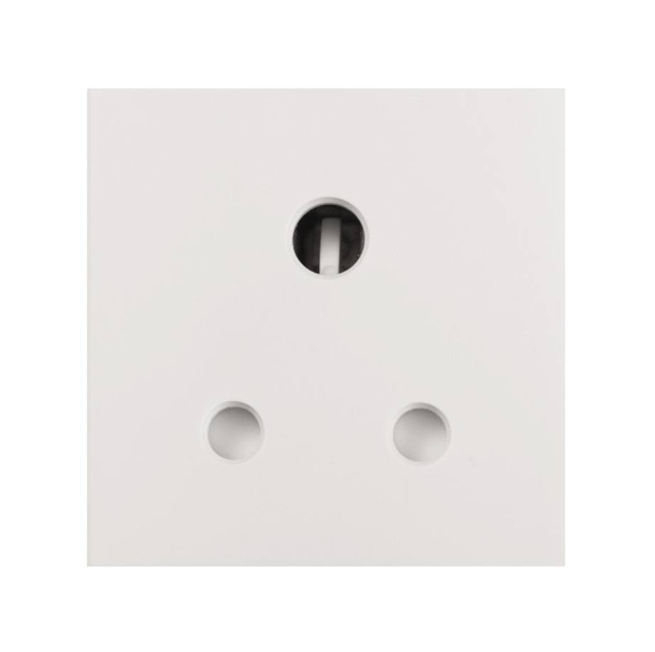 Buster and Punch ELECTRICITY PLATE INSERTS - 5A UK SOCKET (2 module) - WHITE - No.42 Interiors