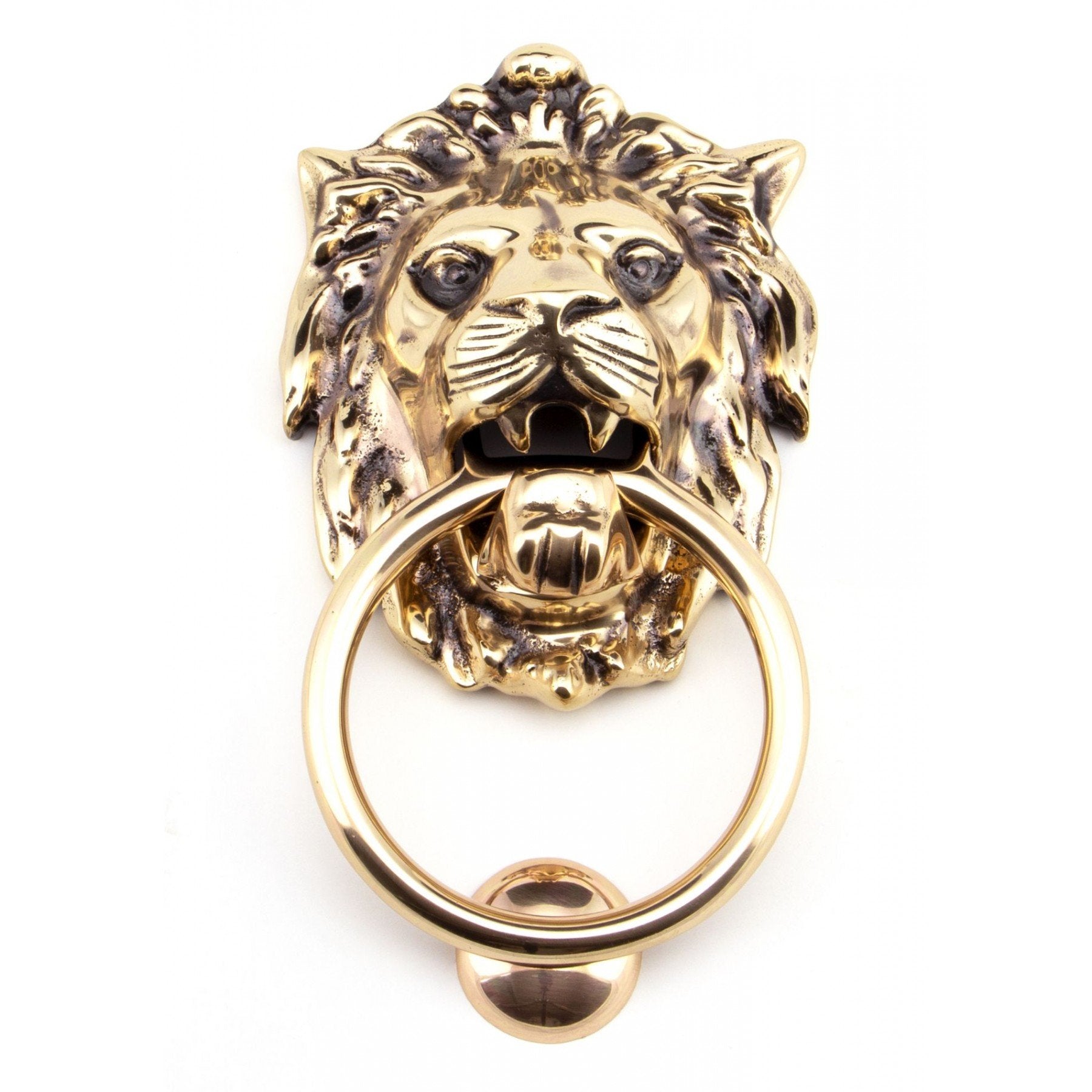 From The Anvil Polished Bronze Lion Head Knocker