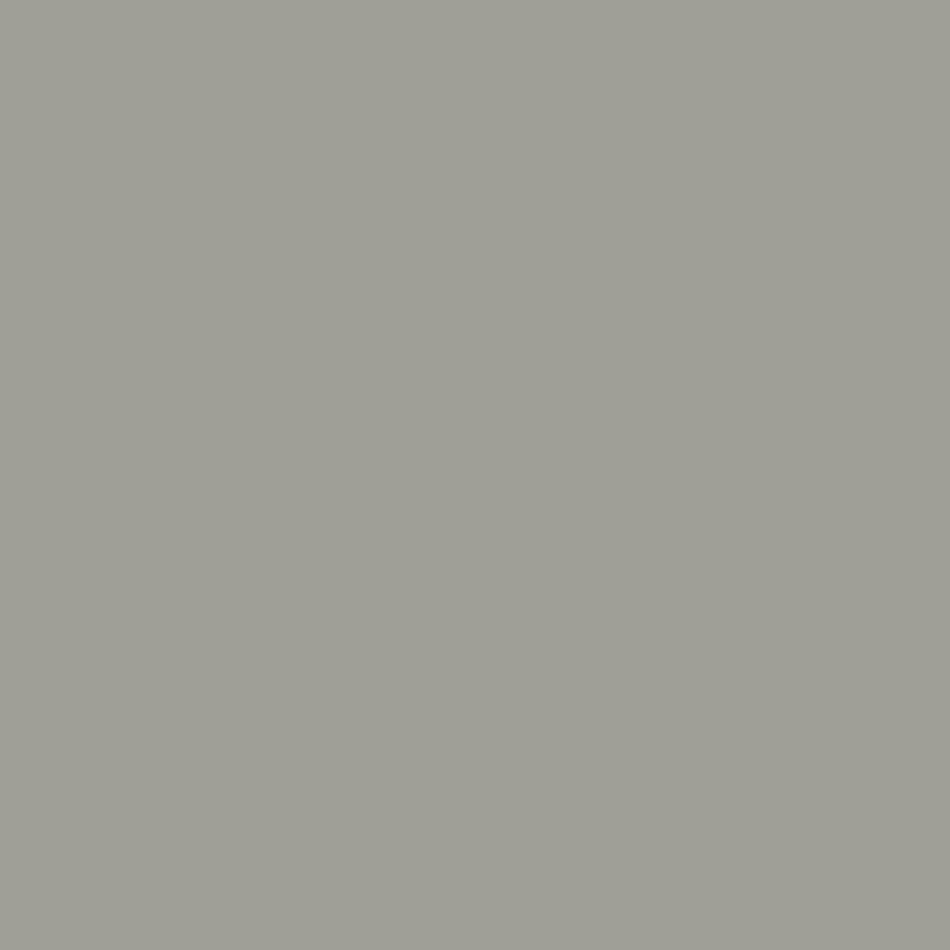 Zoffany Paint - Elephant Grey