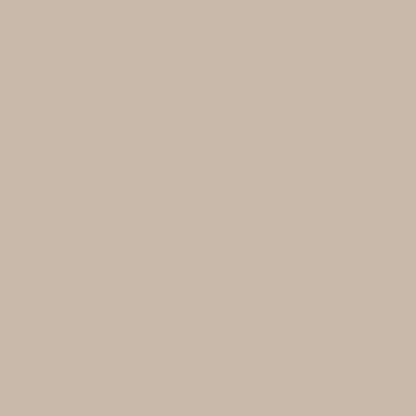 Zoffany Paint - Pale Umber