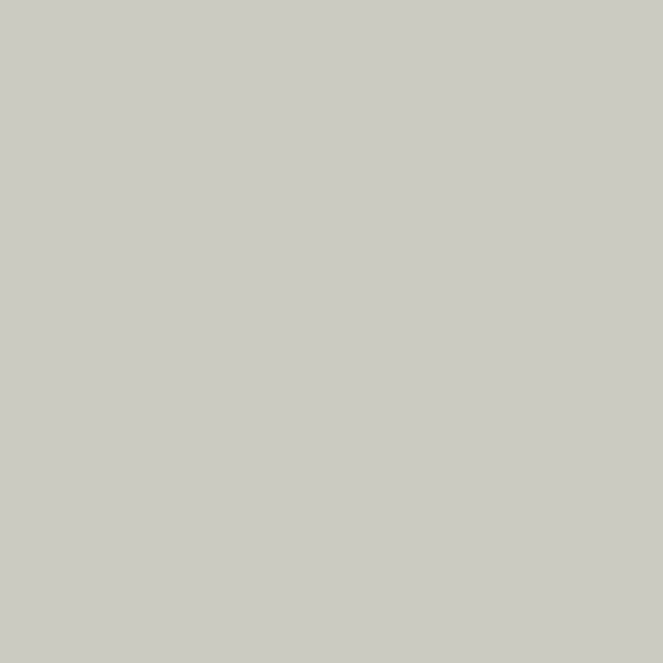 Zoffany Paint - Platinum Grey