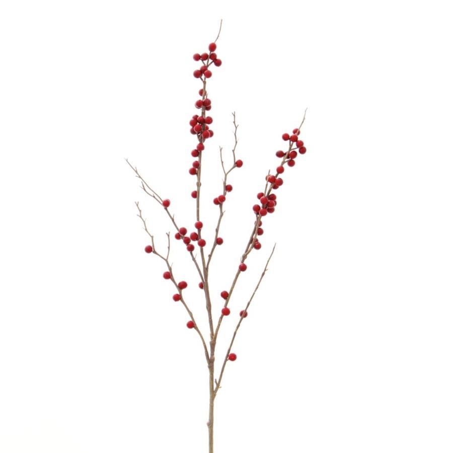 Red Tall Berry Branch