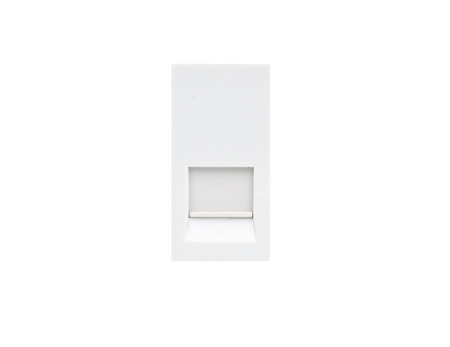 Buster and Punch ELECTRICITY PLATE INSERTS / BT SLAVE TELEPHONE / WHITE (2 mod) - No.42 Interiors